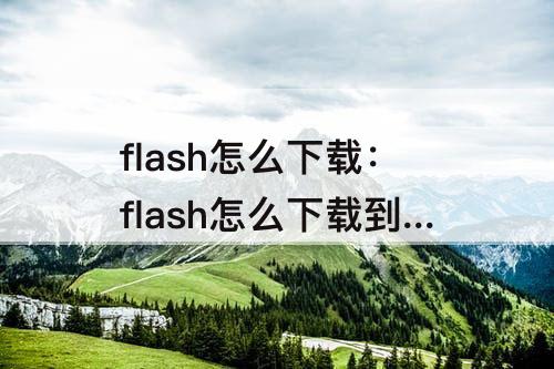 flash怎么下载：flash怎么下载到手机苹果