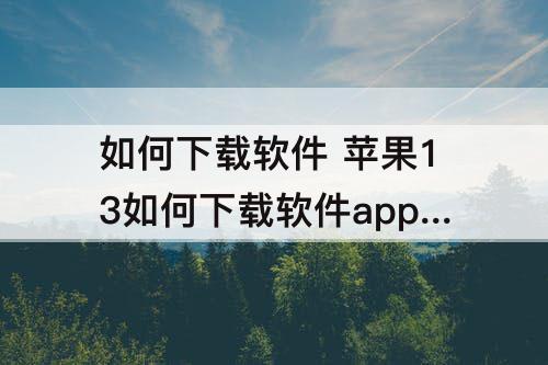 如何下载软件 苹果13如何下载软件app内购买