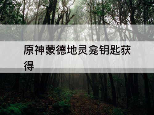 原神蒙德地灵龛钥匙获得