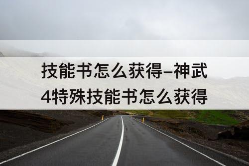 技能书怎么获得-神武4特殊技能书怎么获得