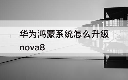 华为鸿蒙系统怎么升级nova8