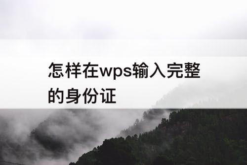 怎样在wps输入完整的身份证