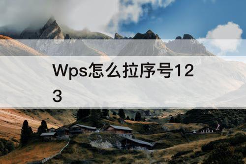 Wps怎么拉序号123