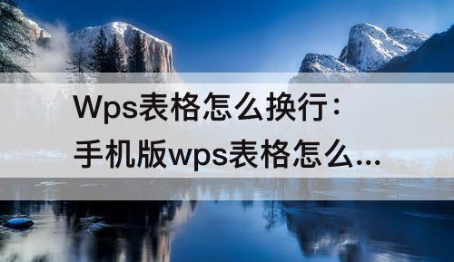 Wps表格怎么换行：手机版wps表格怎么换行打字