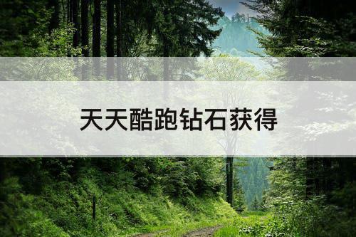 天天酷跑钻石获得