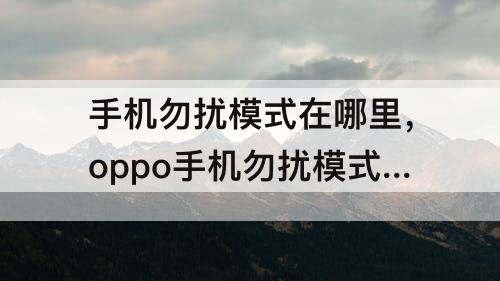 手机勿扰模式在哪里，oppo手机勿扰模式在哪里设置