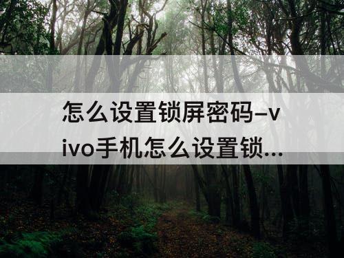 怎么设置锁屏密码-vivo手机怎么设置锁屏密码和隐私密码不一样