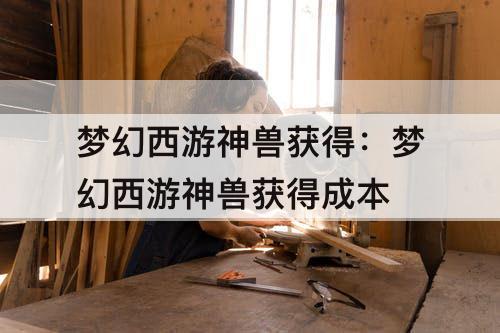 梦幻西游神兽获得：梦幻西游神兽获得成本