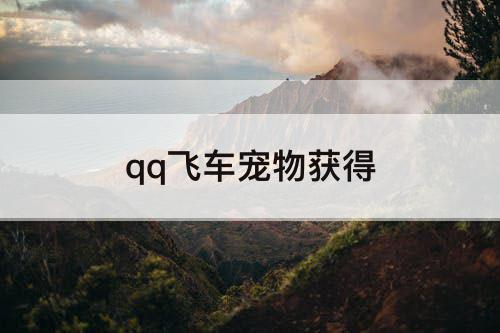 qq飞车宠物获得