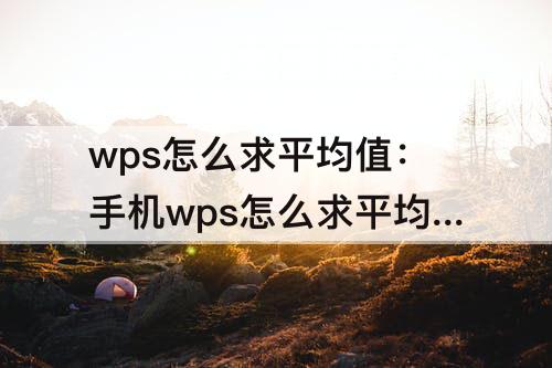 wps怎么求平均值：手机wps怎么求平均值