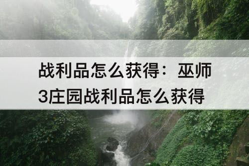 战利品怎么获得：巫师3庄园战利品怎么获得