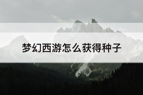 梦幻西游怎么获得种子