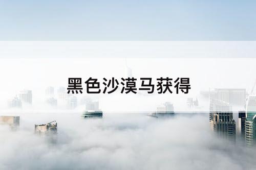 黑色沙漠马获得