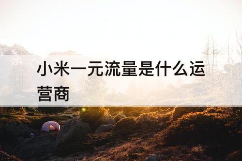 小米一元流量是什么运营商