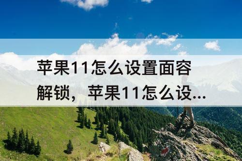 苹果11怎么设置面容解锁，苹果11怎么设置面容解锁失败震动