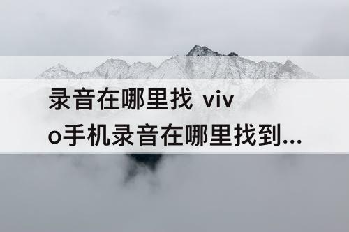 录音在哪里找 vivo手机录音在哪里找到?