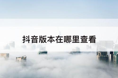 抖音版本在哪里查看