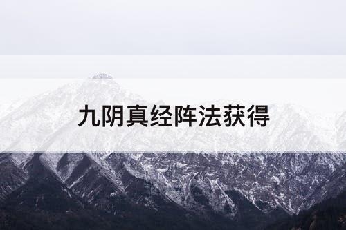 九阴真经阵法获得