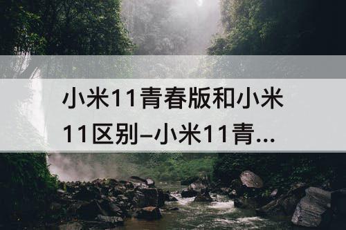 小米11青春版和小米11区别-小米11青春版和小米11区别外形