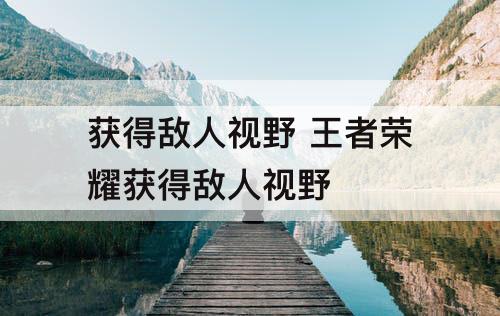 获得敌人视野 王者荣耀获得敌人视野
