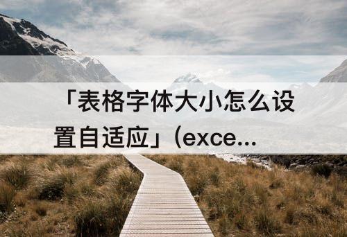 「表格字体大小怎么设置自适应」(excel表格字体大小怎么设置自适应)