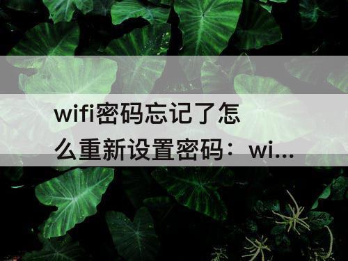 wifi密码忘记了怎么重新设置密码：wifi密码忘记了怎么重新设置密码手机
