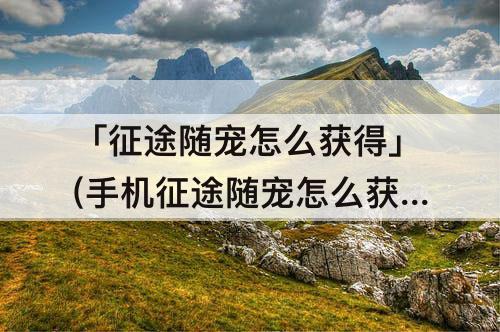 「征途随宠怎么获得」(手机征途随宠怎么获得)