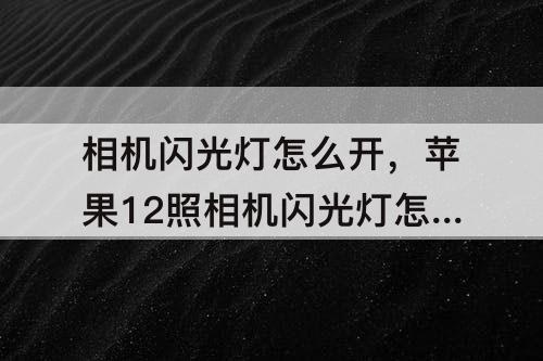 相机闪光灯怎么开，苹果12照相机闪光灯怎么开