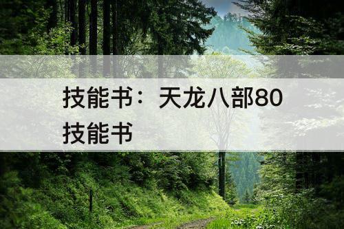 技能书：天龙八部80技能书