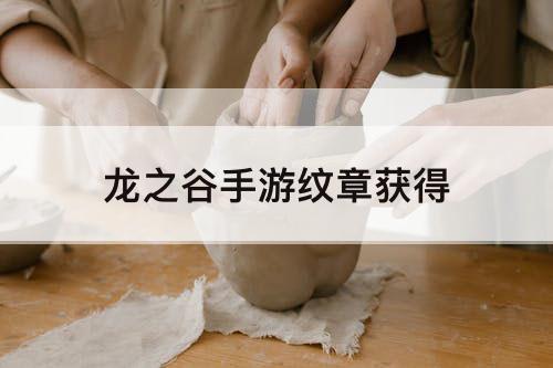 龙之谷手游纹章获得