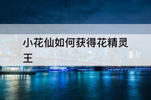 小花仙如何获得花精灵王