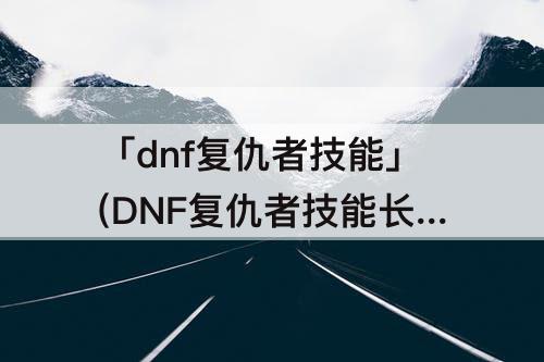 「dnf复仇者技能」(DNF复仇者技能长按)