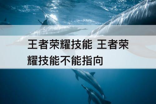 王者荣耀技能 王者荣耀技能不能指向