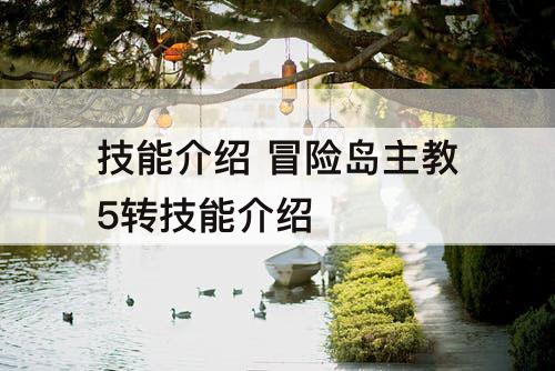 技能介绍 冒险岛主教5转技能介绍