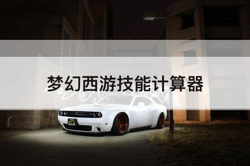 梦幻西游技能计算器