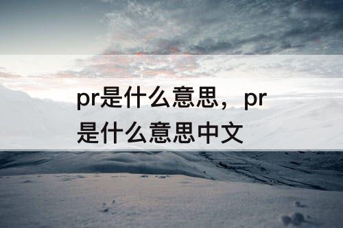 pr是什么意思，pr是什么意思中文