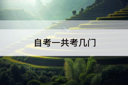 自考一共考几门