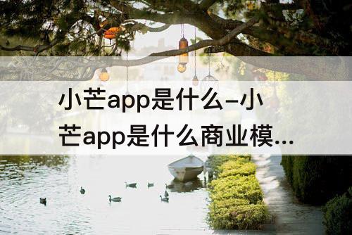 小芒app是什么-小芒app是什么商业模式