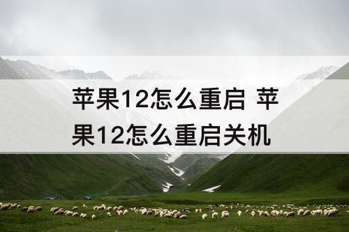 苹果12怎么重启 苹果12怎么重启关机
