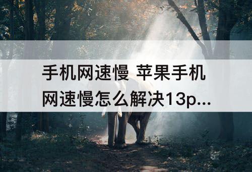 手机网速慢 苹果手机网速慢怎么解决13proMax