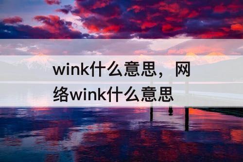 wink什么意思，网络wink什么意思