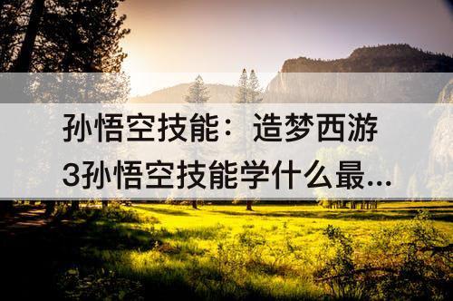 孙悟空技能：造梦西游3孙悟空技能学什么最好贴吧
