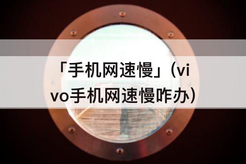 「手机网速慢」(vivo手机网速慢咋办)