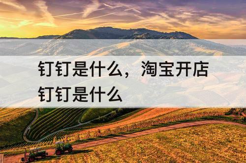 钉钉是什么，淘宝开店钉钉是什么