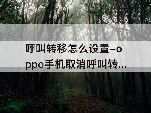 呼叫转移怎么设置-oppo手机取消呼叫转移怎么设置