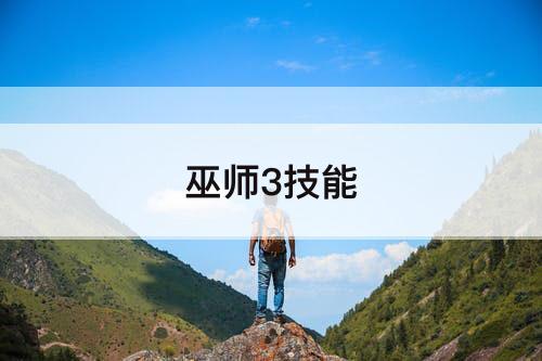 巫师3技能