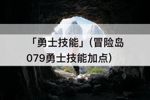 「勇士技能」(冒险岛079勇士技能加点)