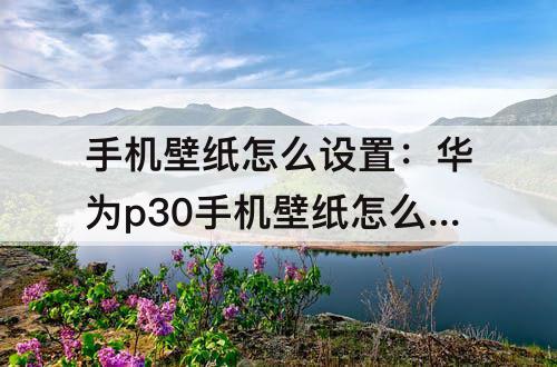 手机壁纸怎么设置：华为p30手机壁纸怎么设置成自动切换