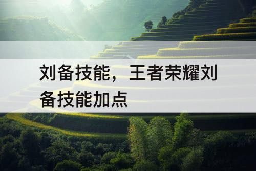 刘备技能，王者荣耀刘备技能加点