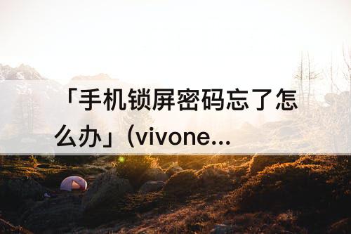 「手机锁屏密码忘了怎么办」(vivonex手机锁屏密码忘了怎么办)